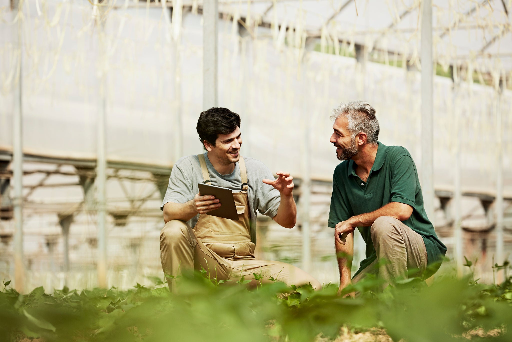 Happy male workers with digital tablet discussing in greenhouse